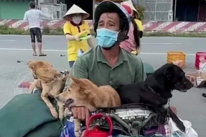 chủ nhân 16 chó 1
