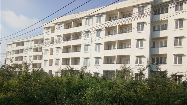 những cái bánh vẽ